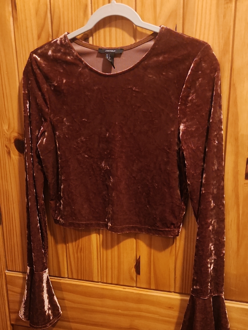 Forever 21 Chocolate Brown Velvet Long-Sleeve Crop Top